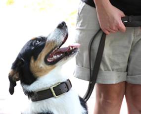 Vertrauen ist die Basis