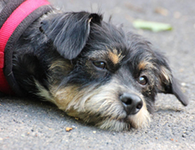 Vertrauen ist die Basis