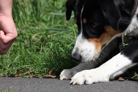 immer schn aufmerksam sein