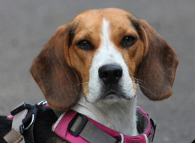 ...und ab geht die Post