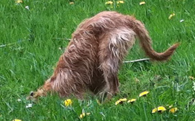 ...und ab geht die Post